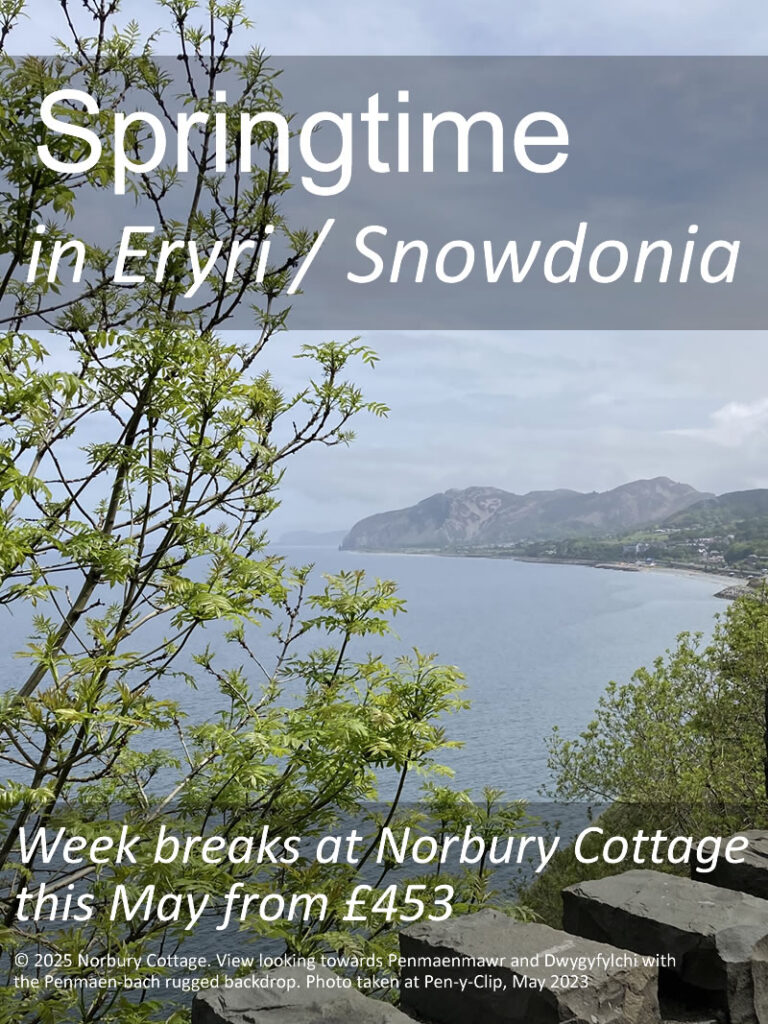 week breaks in may 2025