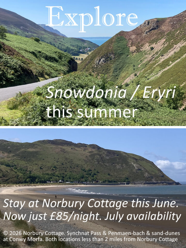 discounted summer breaks in june and july